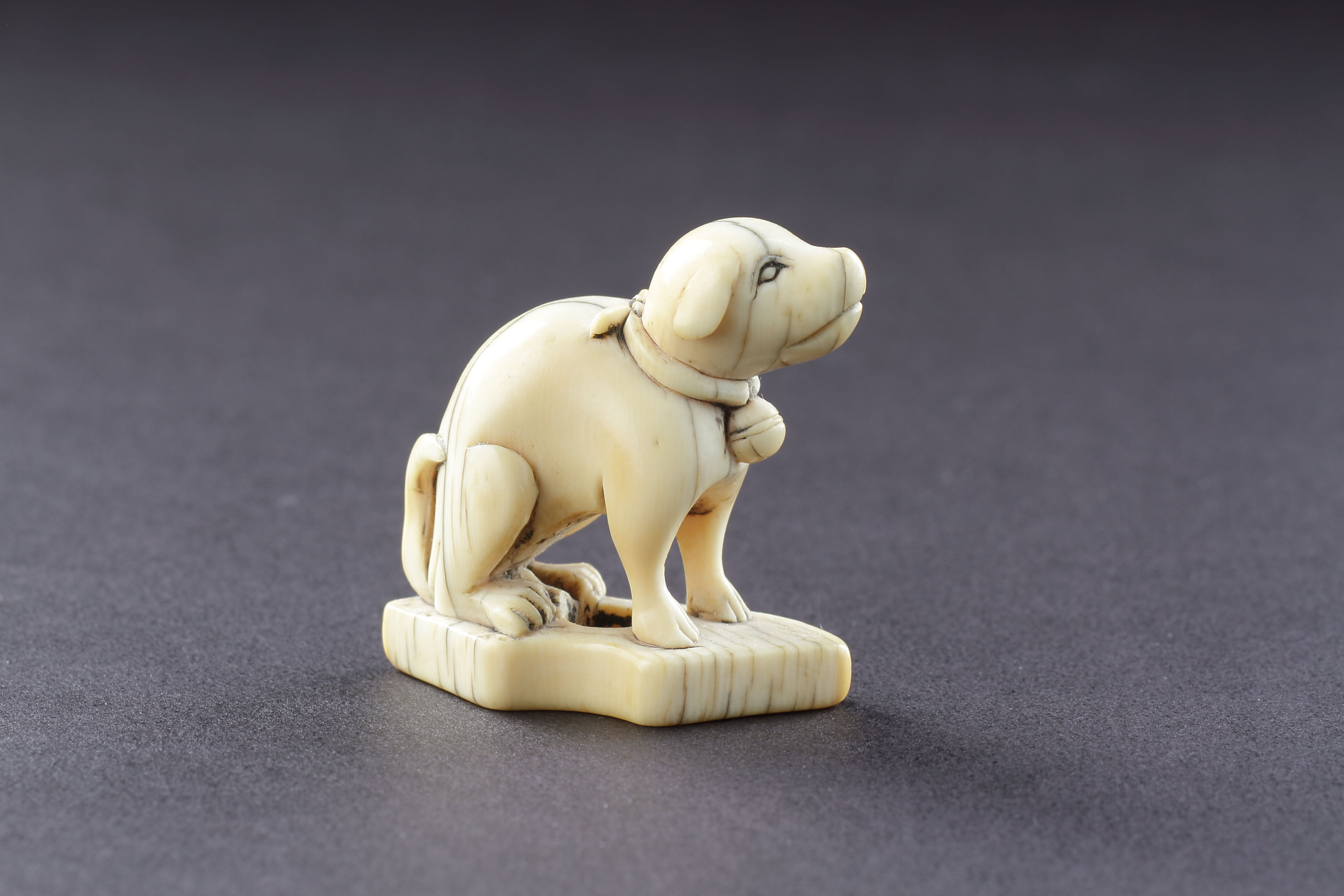 Japanese Carved Ivory Netsuke of a Seated Dog Wearing a Collar with a Suspended Bell
